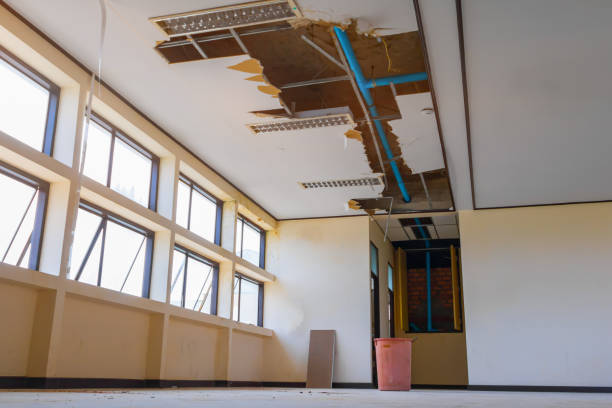  Perry Hall, MD Water damage restoration Pros