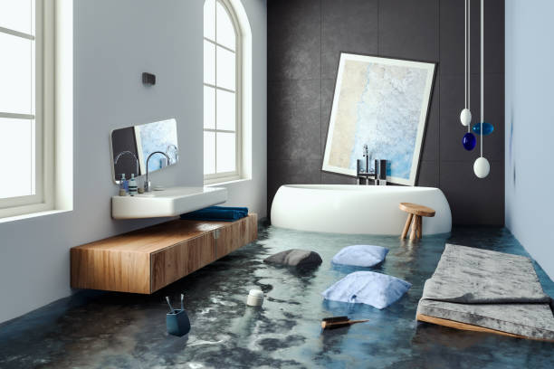 Best Water damage cleanup near me  in Perry Hall, MD