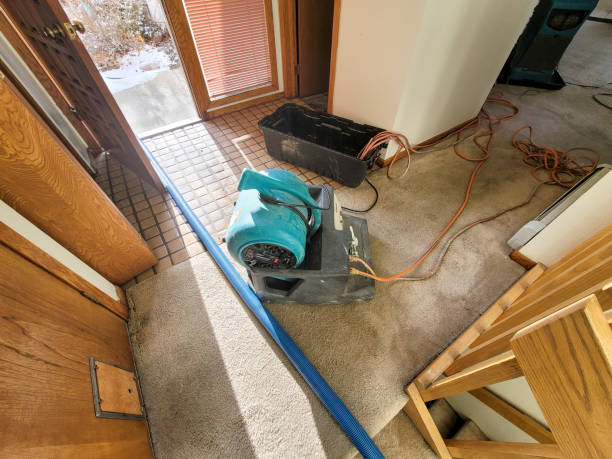 Best Ceiling water damage repair  in Perry Hall, MD