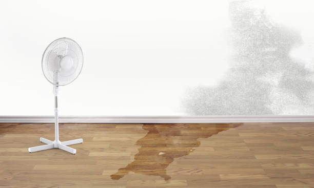 Water damage restoration insurance claims in Perry Hall, MD