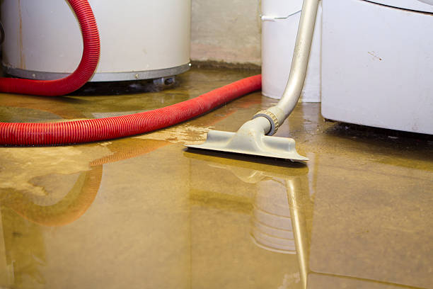 Best 24-hour water damage restoration  in Perry Hall, MD