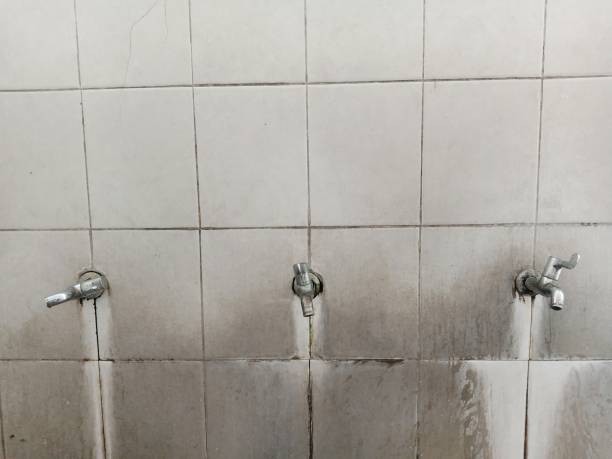Best Professional water damage repair  in Perry Hall, MD