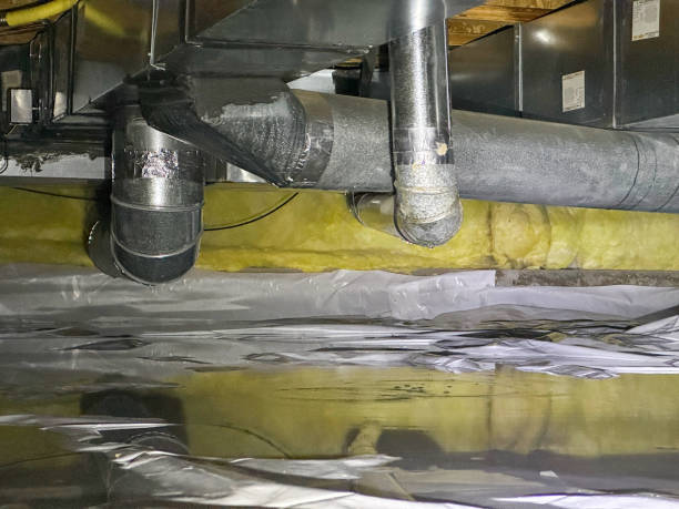 Best Flood restoration services  in Perry Hall, MD
