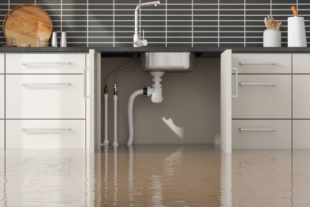 Best Water damage restoration company  in Perry Hall, MD