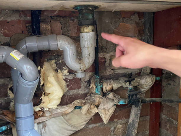 Trusted Perry Hall, MD Water damage restoration Experts