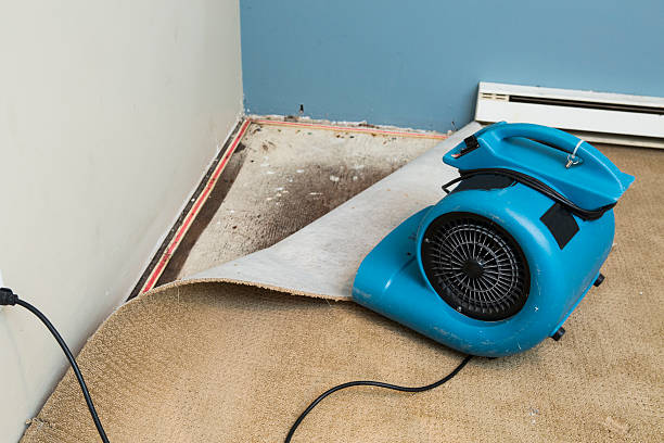 Best 24-hour water damage restoration  in Perry Hall, MD